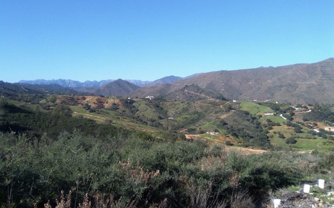 Qlistings - Plot For Sale In La Mairena Property Image